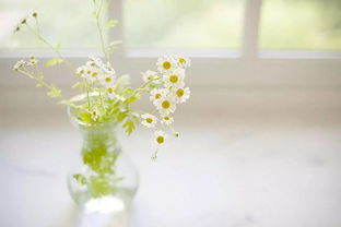 如果下辈子还能遇到，下辈子是否还能遇见你