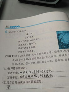 她说歌词含义及寓意，她说这首歌真正意思