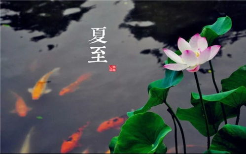 女生唱的包含四季春夏秋冬的歌，春夏秋冬各一句的歌词