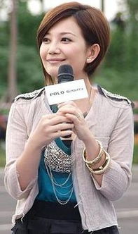 如果有一天我们再相见歌词，歌词里面有如果有一天的歌