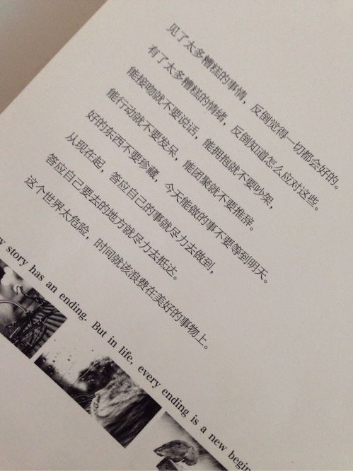 女的唱的有一句歌词颠沛流离，一个女的唱得特别伤感的歌