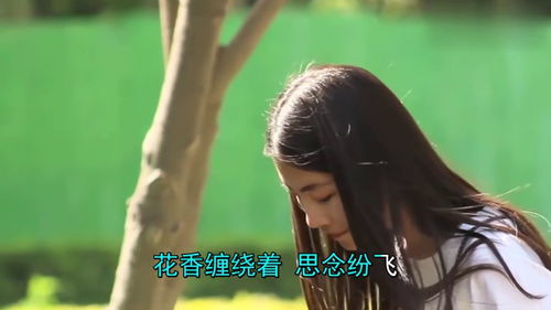 好听又伤感的歌曲有哪些，一个人听的伤感歌曲