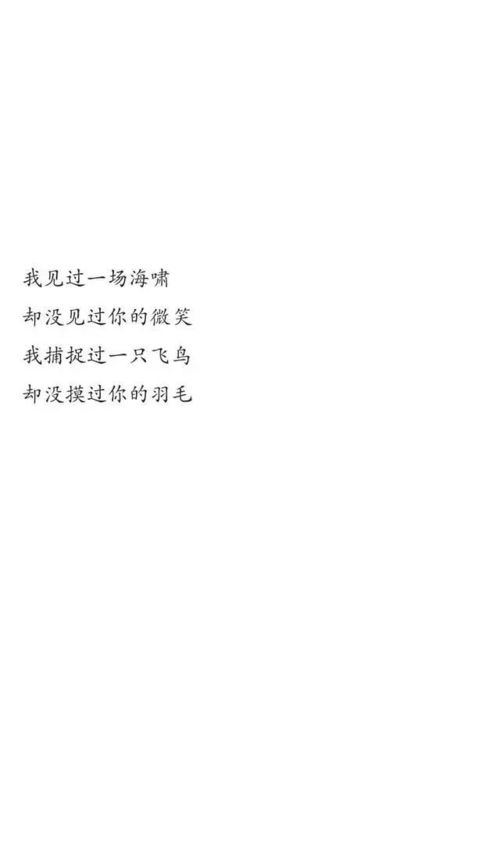 好听歌曲发朋友圈短句，对歌手的赞美短语