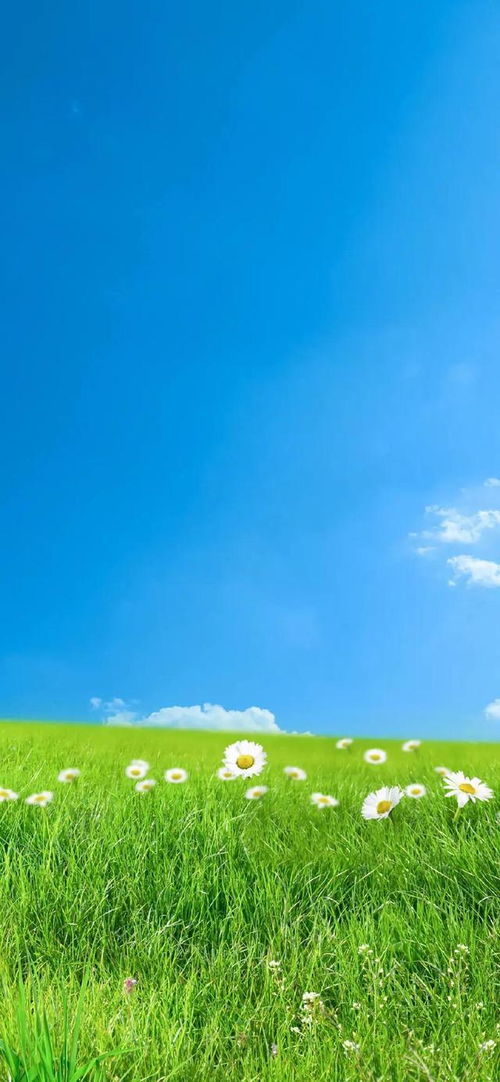 好山好水好风光歌词，好山好好风光是什么歌曲