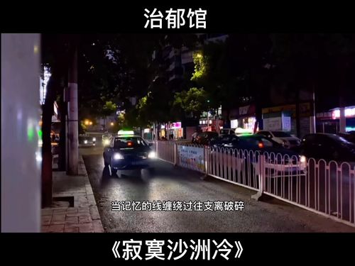 寂寞沙洲冷 歌曲,寂寞沙洲冷表达了什么