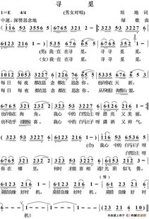 寻寻觅觅那么多年是什么歌，有一首歌歌词是我寻寻觅觅