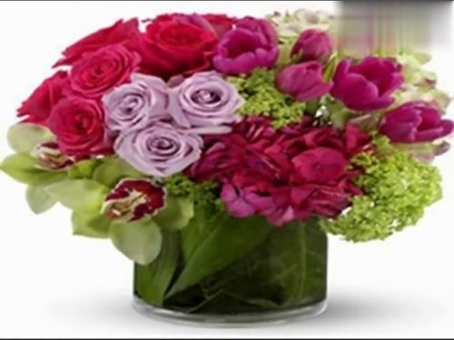 寿宴音乐 背景音乐推荐,适合过寿的背景音乐