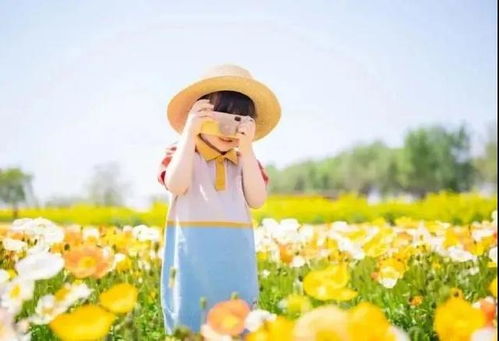 安抚人心是什么意思,安抚人心的简短句子