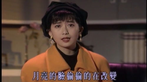 孟庭苇月亮的脸歌词，你看你看月亮的脸歌词表达了什么