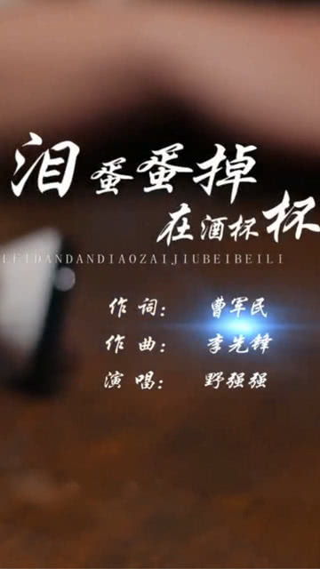 如果真的要走为何要停留，你总说你要走为何要停留歌词