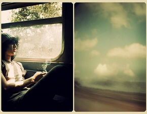 寻寻觅觅找不到活着的证据什么歌,寻寻觅觅找不到活着的感觉