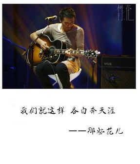 对一个人心凉了的歌曲,用一首歌结束一段感情