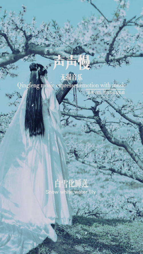 寻寻觅觅冷冷清清凄凄惨惨戚戚,凄凄惨惨戚戚完整诗