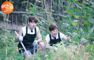 宋丹丹心火烧原唱,心火烧心火烧心扉呀歌词