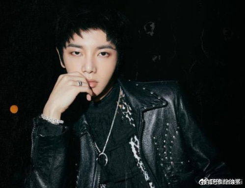 字字句句张碧晨改词了吗,华晨宇承认已婚