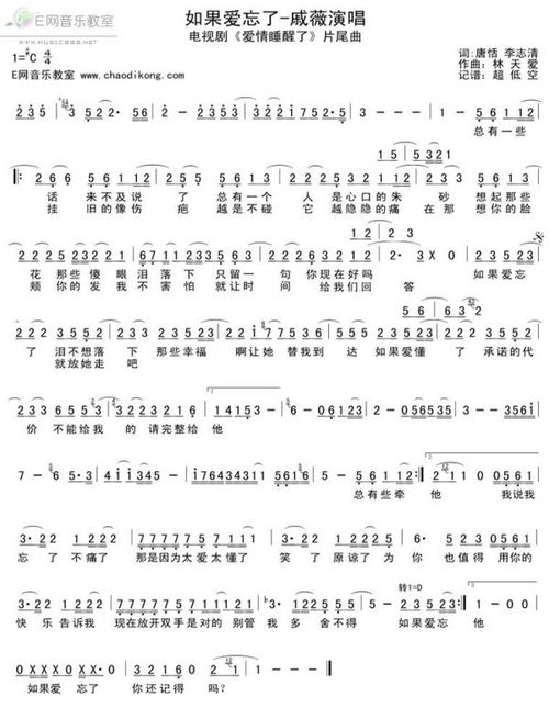 如果爱忘了歌词，如果爱忘了0.8x