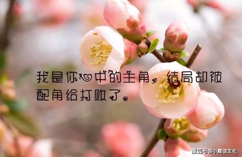 对感情心灰意冷的歌曲，对一个人心凉了的歌曲