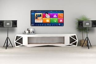 家里有必要买点歌机吗,一套家庭ktv设备要多少钱