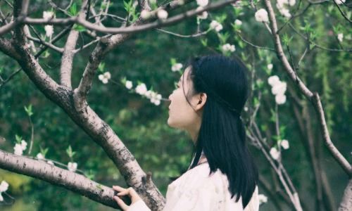 孤独这首歌表达了什么，这首歌的寓意