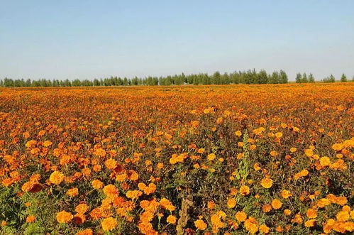 学会洒脱 一笑而过是什么歌曲,有一句歌词是学会洒脱