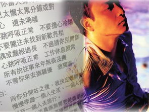 对望这首歌表达了什么,对望 意思