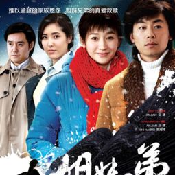 姐妹兄弟插曲很多很多年以后，《多年以后》完整版