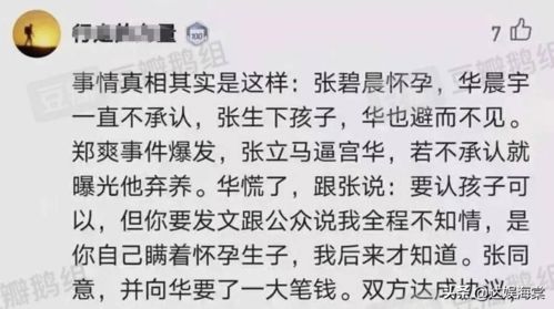 字字句句张碧晨改编歌词，字字句句原创是谁