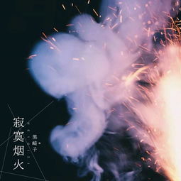 寂寞烟火表达了什么意思,寂寞烟火是想念前任吗