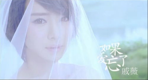 如果爱忘了完整版歌词，如果爱忘了完整版歌曲