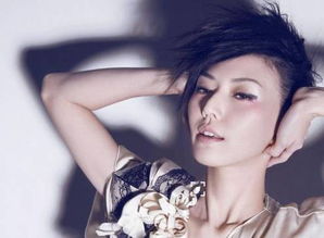 孙燕姿在乐坛什么地位，孙燕姿算一线吗