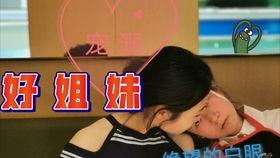 对所有的烦恼说拜拜生日歌词,海底捞生日歌说拜拜歌词