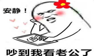 安静就是我的表达是什么意思,安静的意思是什么