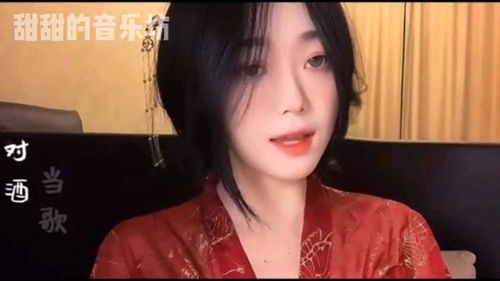 对酒当歌 歌曲，《花间酒》歌曲