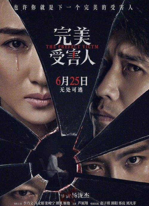 完美受害人插曲叫什么,完美受害人里的音乐