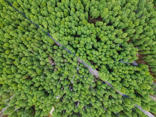 小船悠悠水中过诗句,水上泛舟风景美的句子