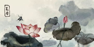 岁月何曾饶过谁我亦不曾饶过岁月,感慨岁月催人老的诗句