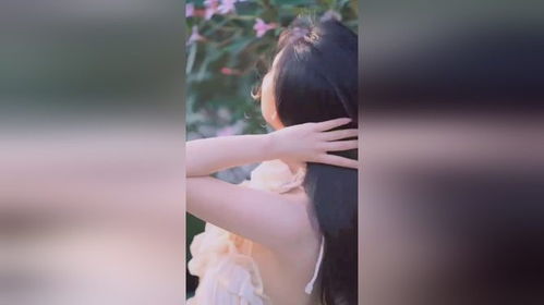 就让风吹呀吹 吹落我的,粤语歌 愿晚风将我吹进你心里