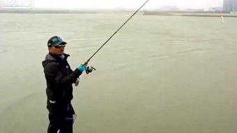 就在一转眼时光飞逝如电,时光飞逝的高级说法