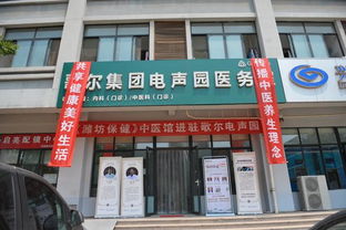 山东潍坊歌尔集团简介,潍坊歌尔是什么公司