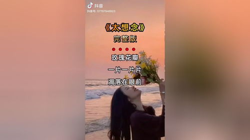 就想念那个飞那个青春什么歌,想念你的飞 每一个清晨