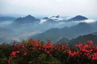山上的山花开呀原唱,小女孩唱我爱这满山的山花开