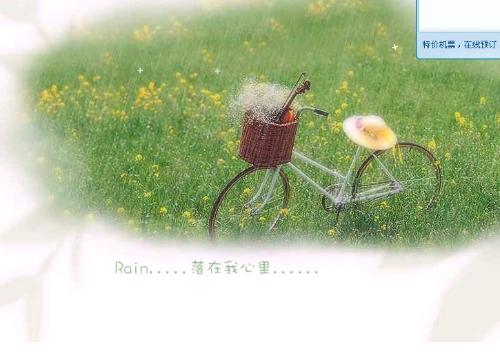 小学生必唱十首英文歌,英文歌曲《柠檬树》