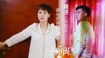 小欢喜全部插曲及歌词,小别离插曲有哪些