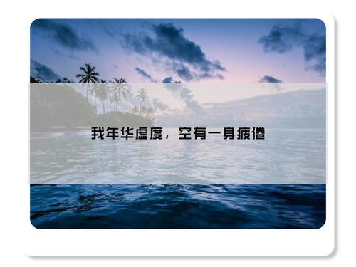 就这样虚度着年华,年华虚度空有一身疲倦