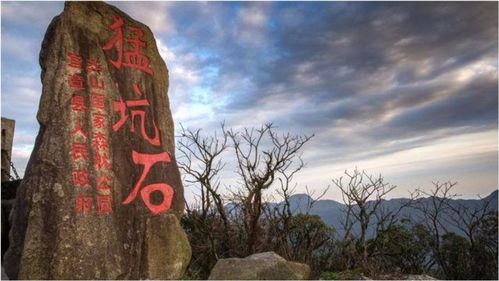 山外还有一山高半山腰什么歌,一山高,半山腰是哪首歌的歌词