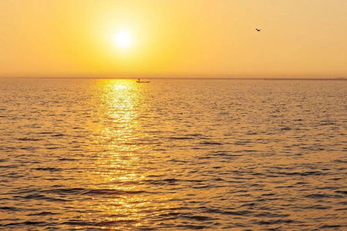 就算前方的路布满荆棘,脚下有路,心中有光,生命终将绽放