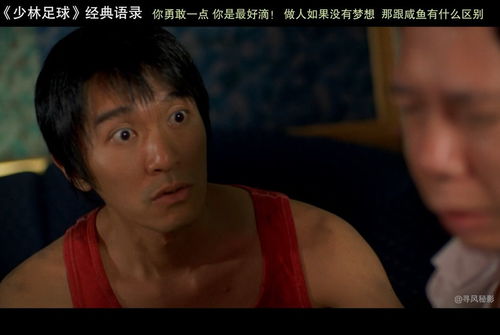 少林寺经典歌曲大全，少林寺的经典语录