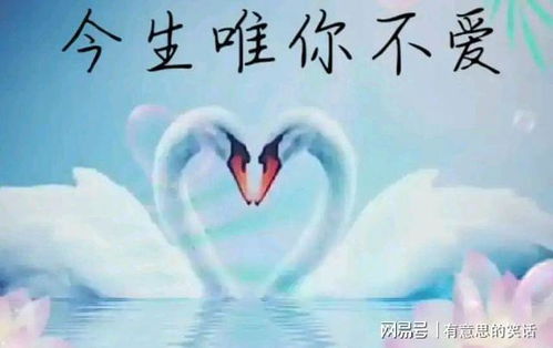 就爱你爱的那么干脆是什么歌,《你永远不懂我》