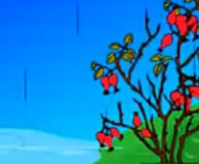 小白菜儿歌歌词,小白菜儿歌原唱