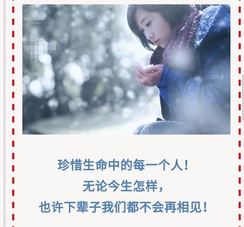 就算今生不能在一起我也不会忘记,歌曲巜下辈子不一定遇见